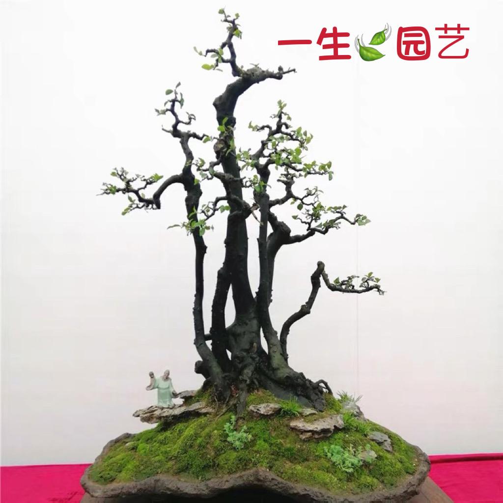 一生优品