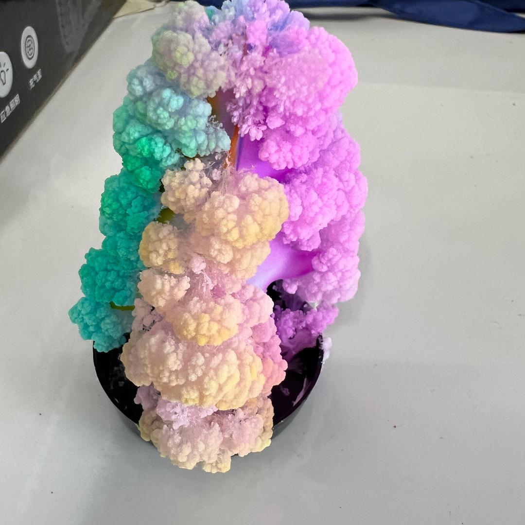 暮暮紫悦