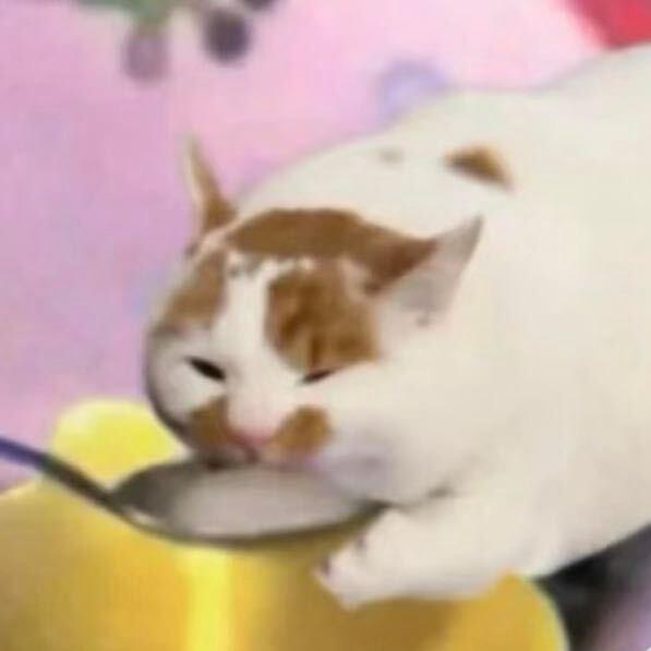 小鸟鱼