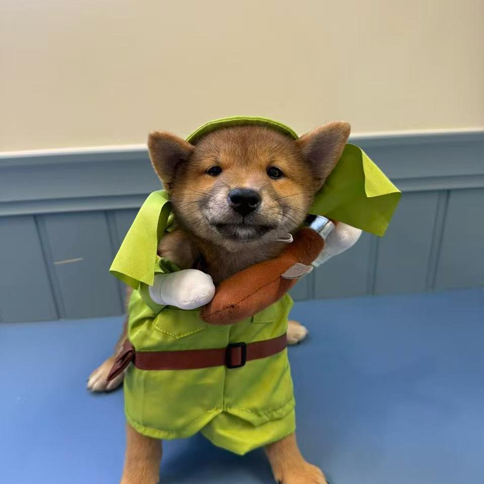 爪爪萌乐谷（春熙路店）