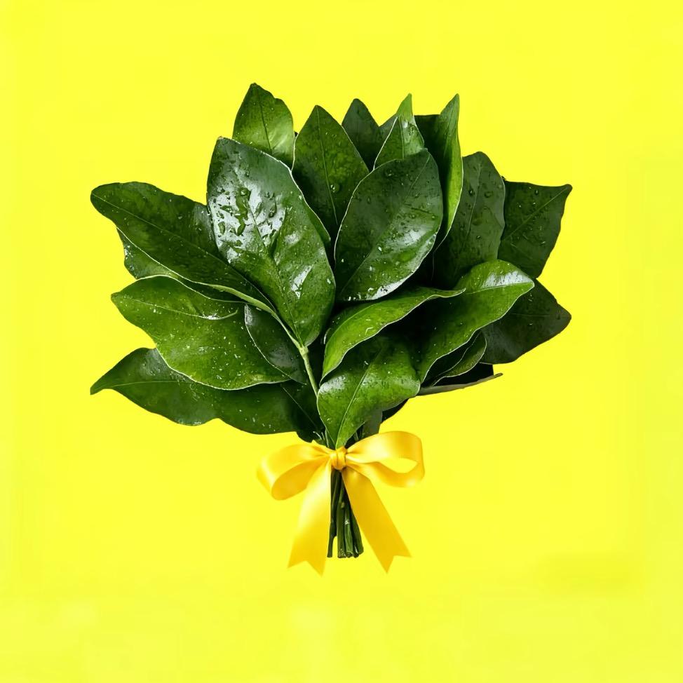 遵义金融蔡老班