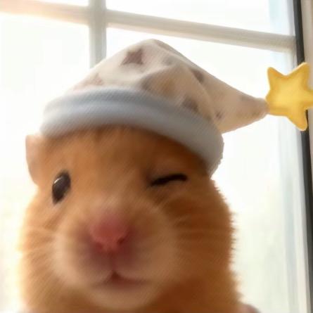 灰鱼