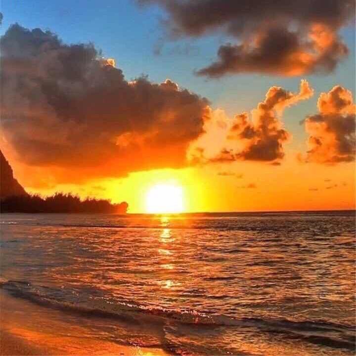 蓓蓓