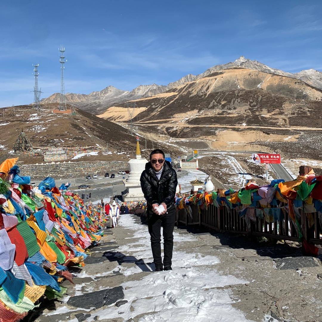 丁丁猫儿在霓虹