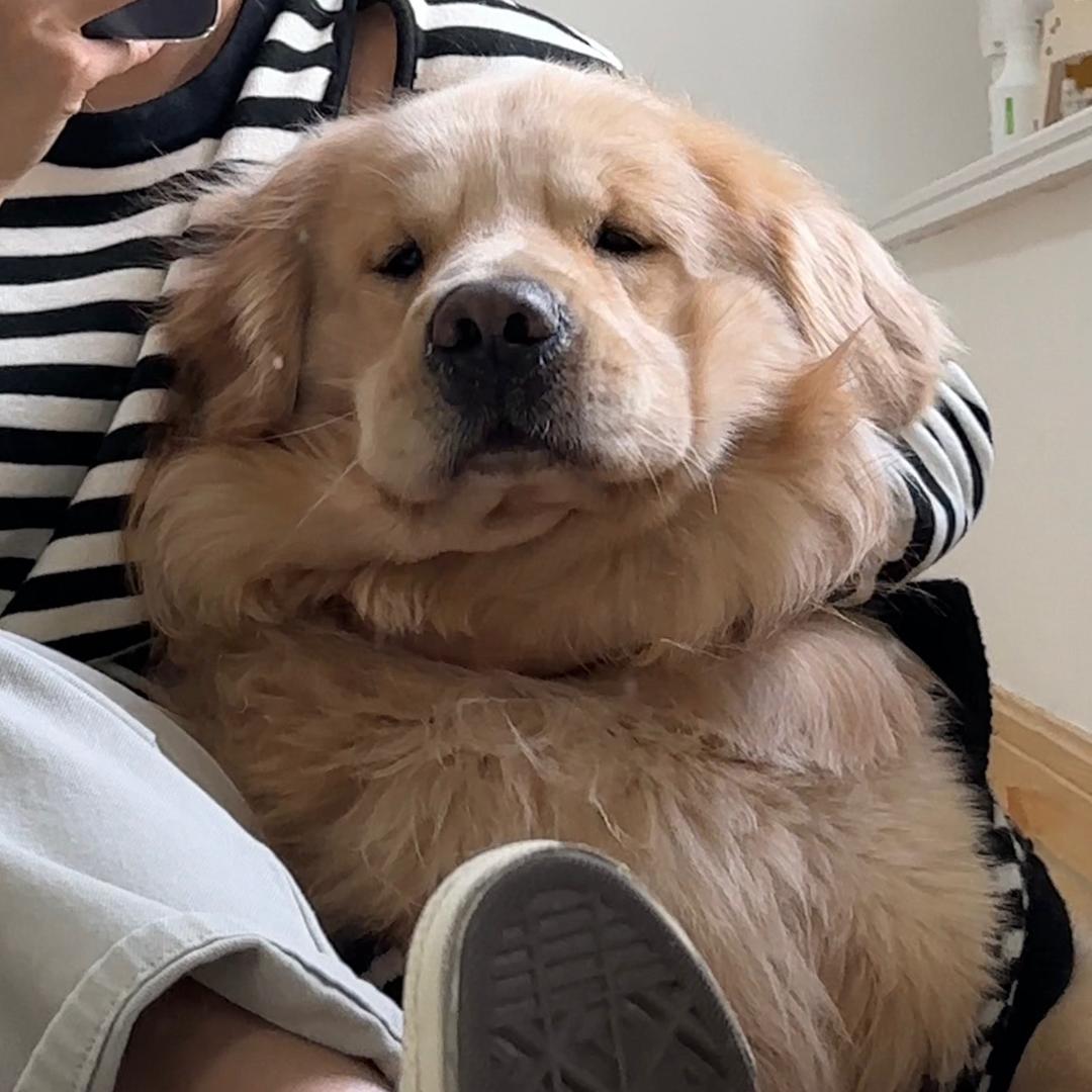 小鸡毛毛毛