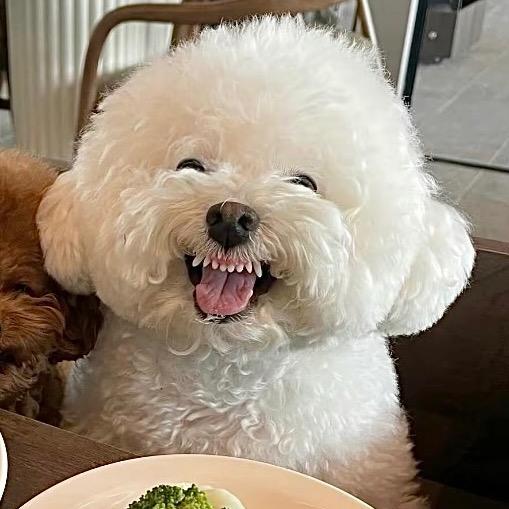 我睡醒啦