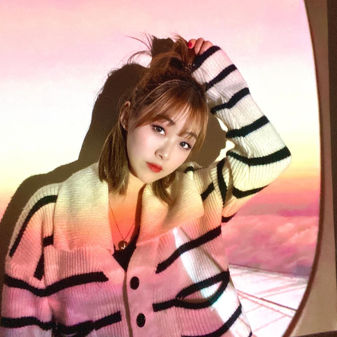 丸子不吃香菜🎈