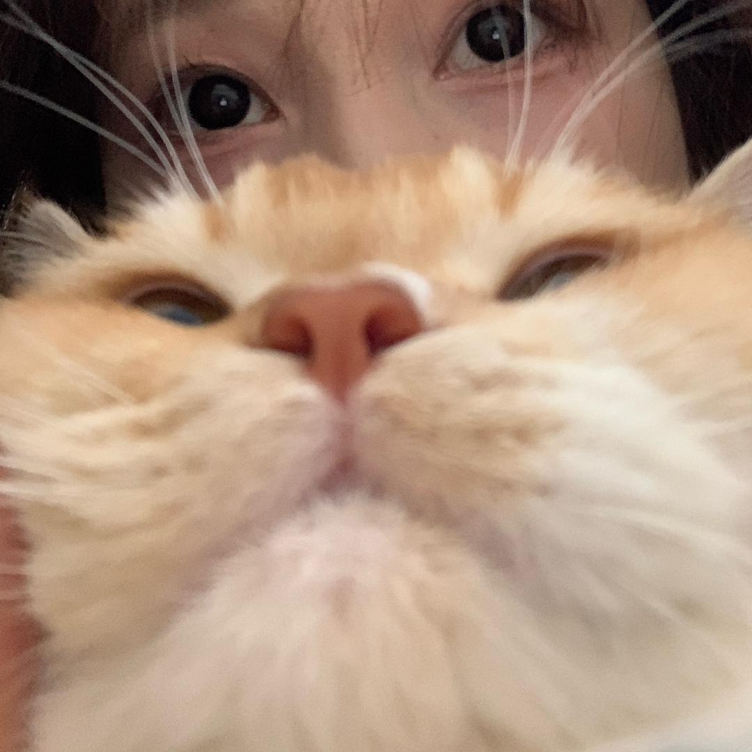 蛋崽小茂咪