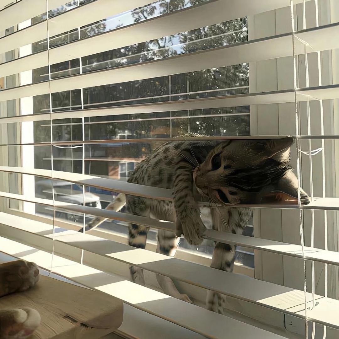 Lötto