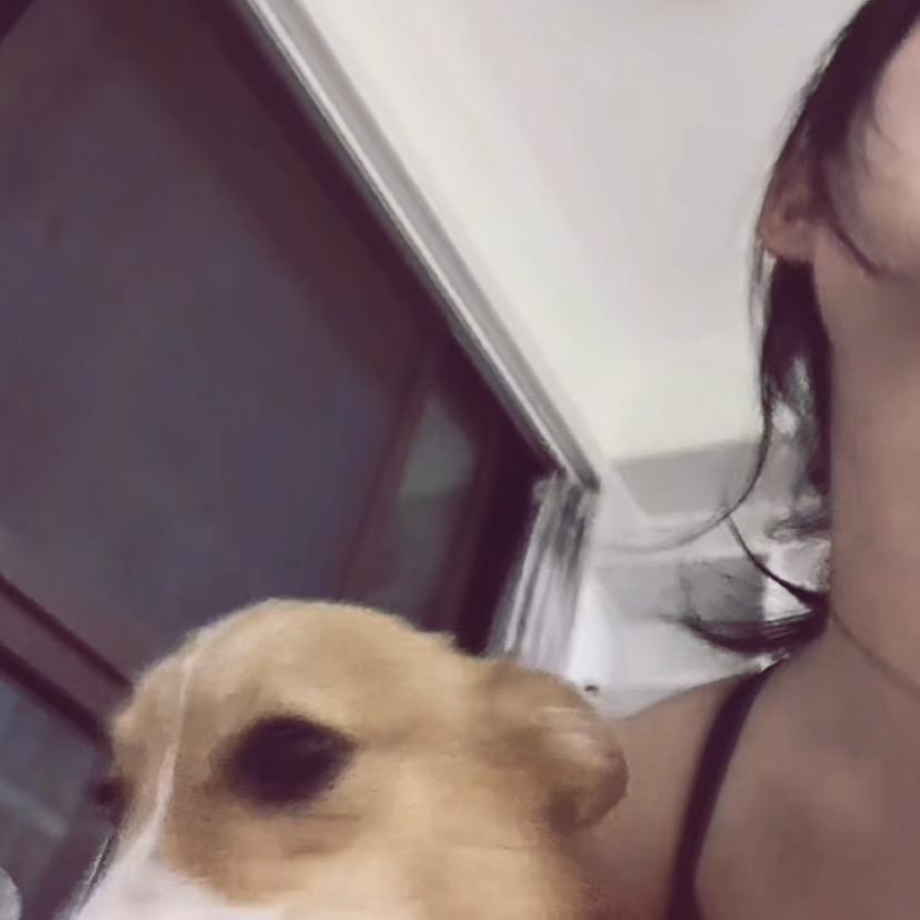 雾散了•