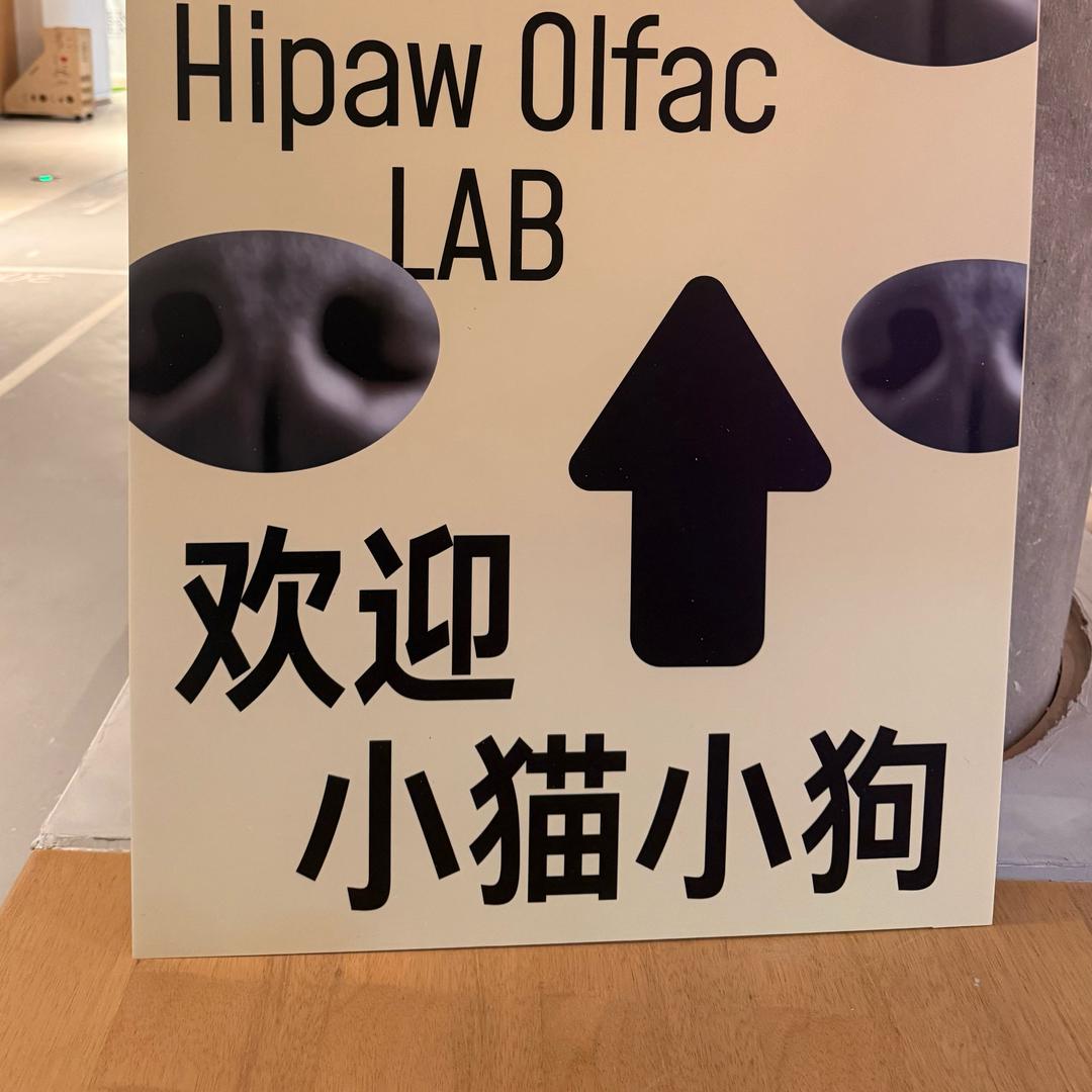 抑郁的超雄综合征患者凌晨三点狂吃亡妻贡品