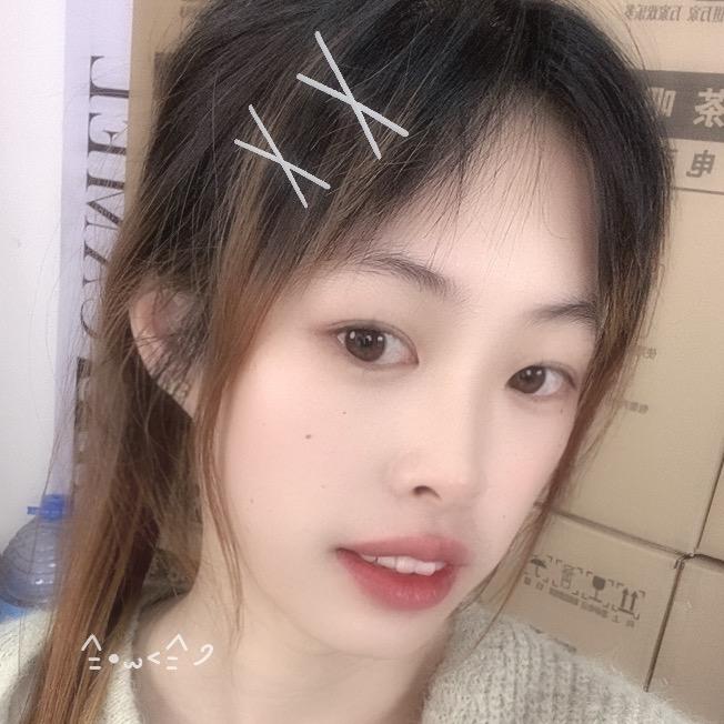 静木木