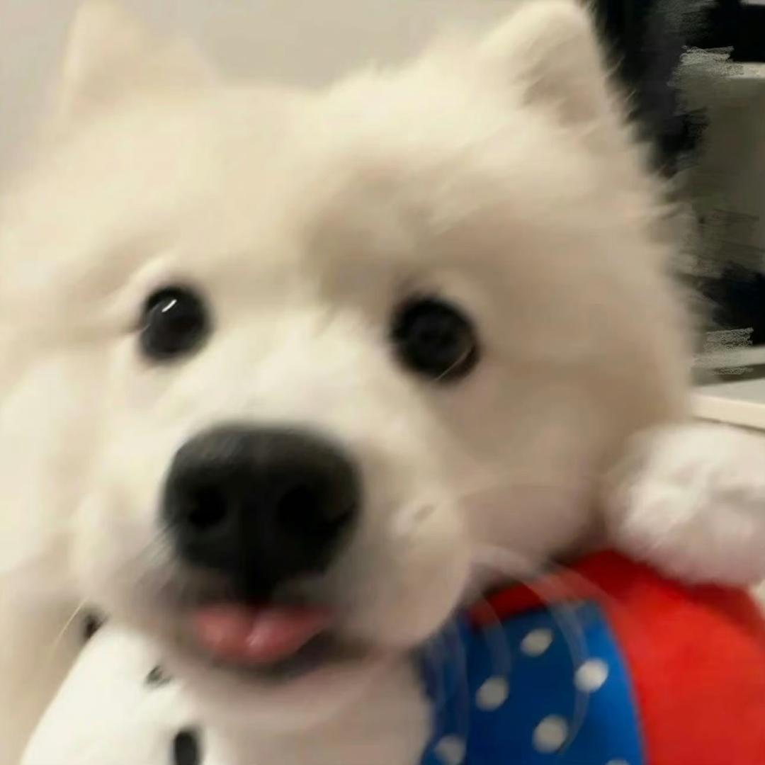 快乐的胸毛