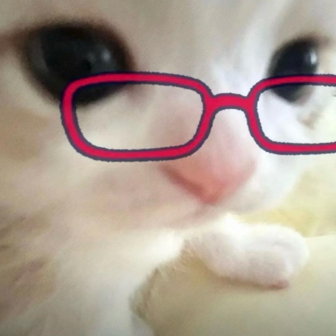 左肩