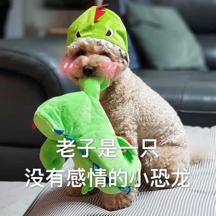 吃榴莲不吐葡萄皮