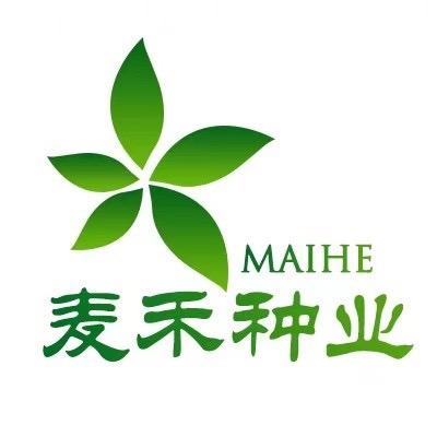 麦禾牧草种业