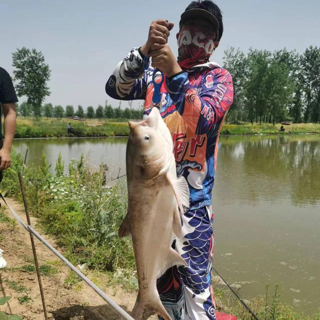 阿灿🎣