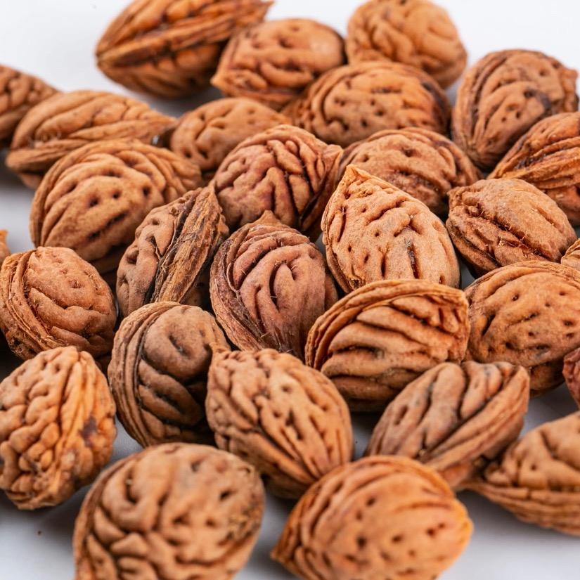 锦江区古丽巴格商务信息咨询服务部