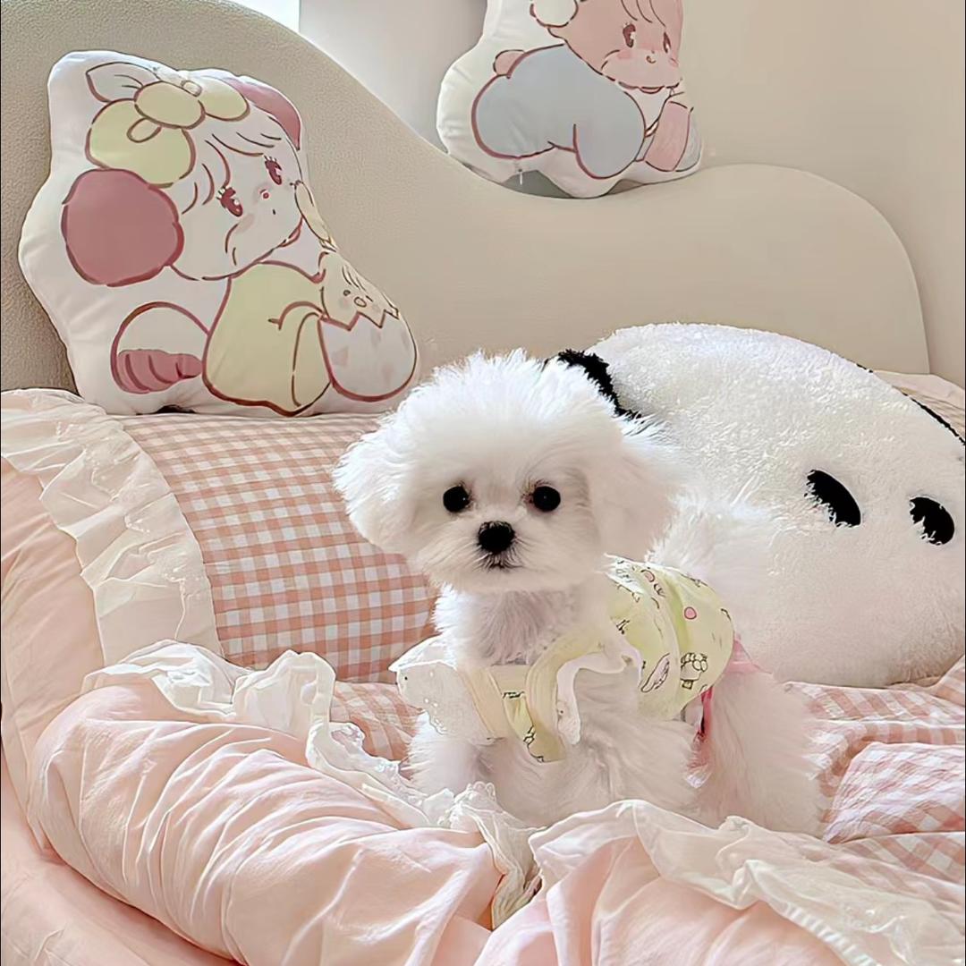 欣欣服装小店