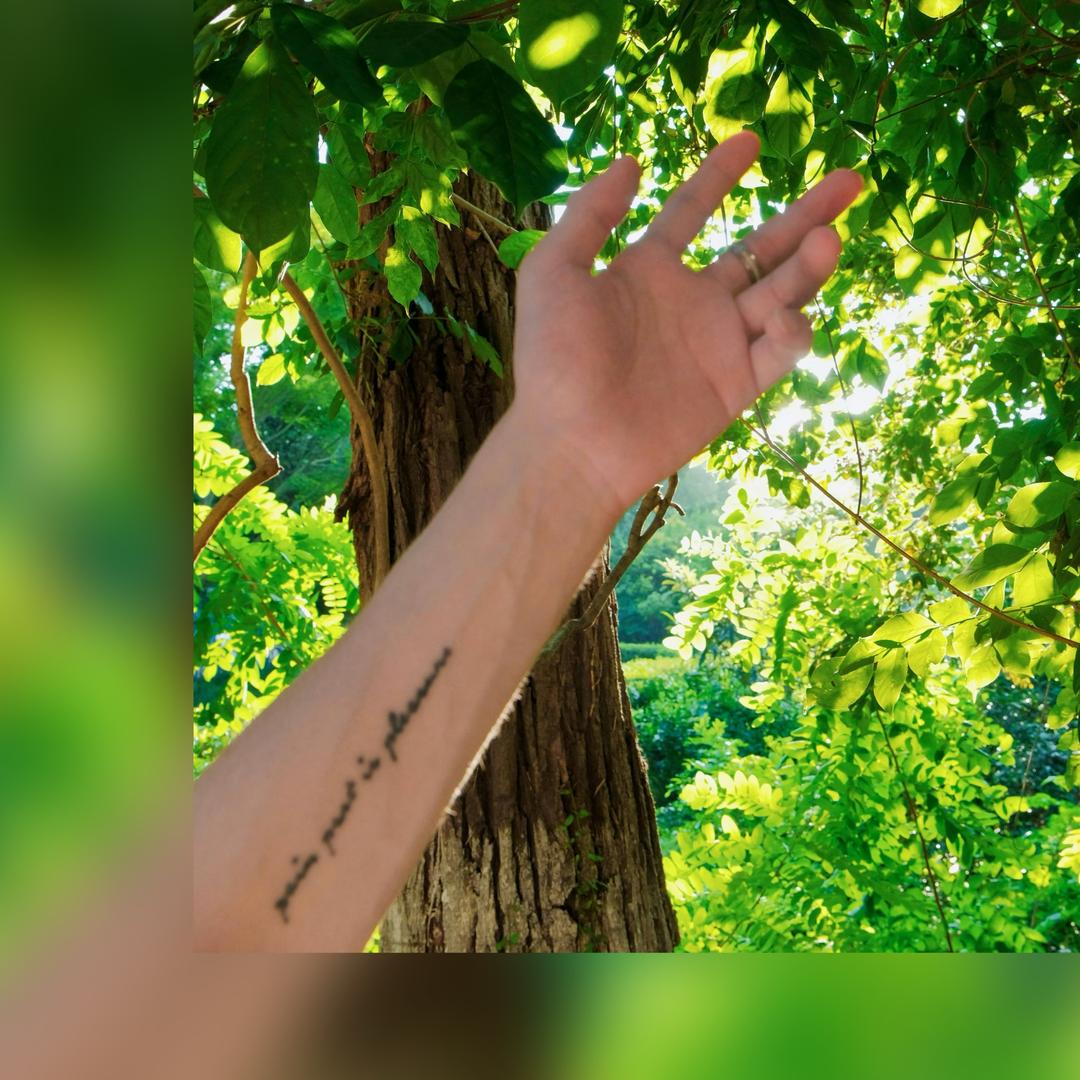 𝟏𝟐𝟏𝟐有控🧁⁸³⁰