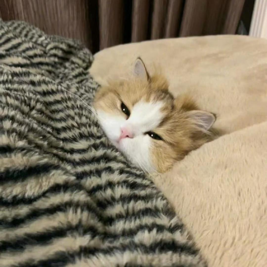 慢一点