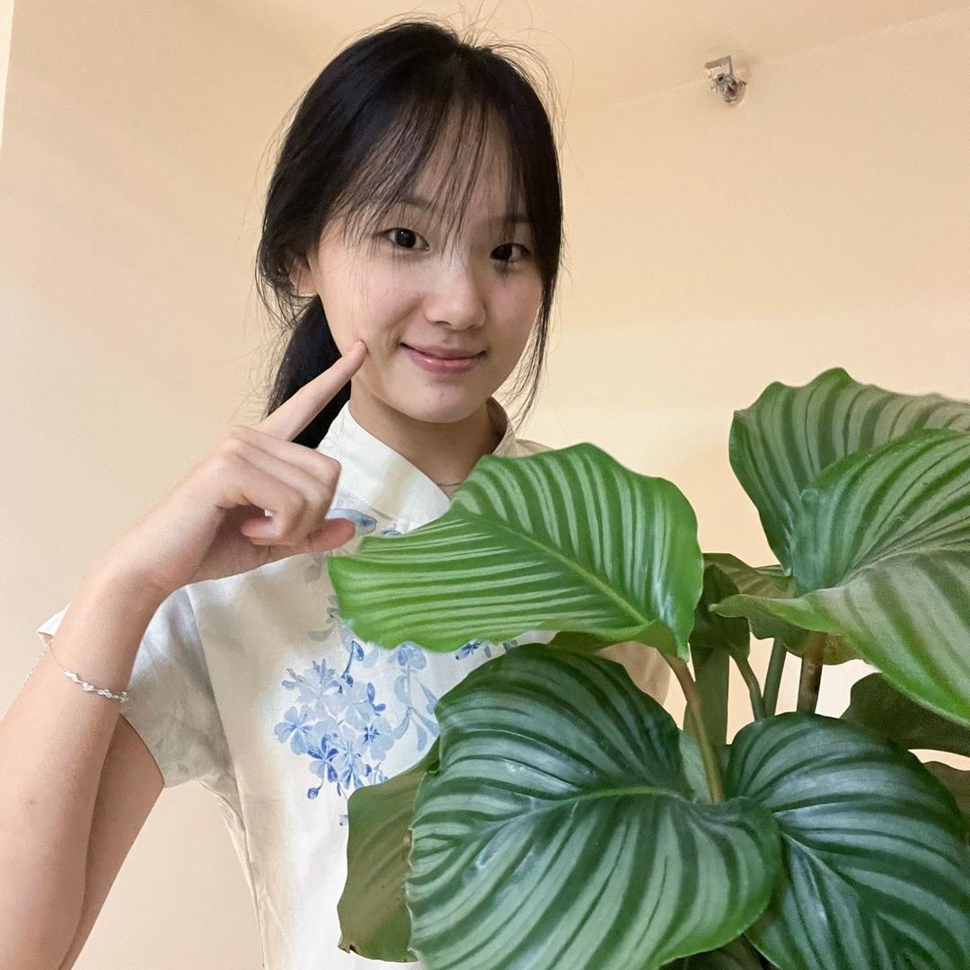 桃汁