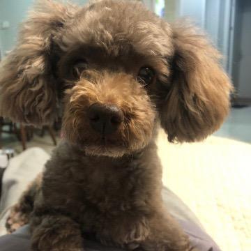 普乐多严选小铺子