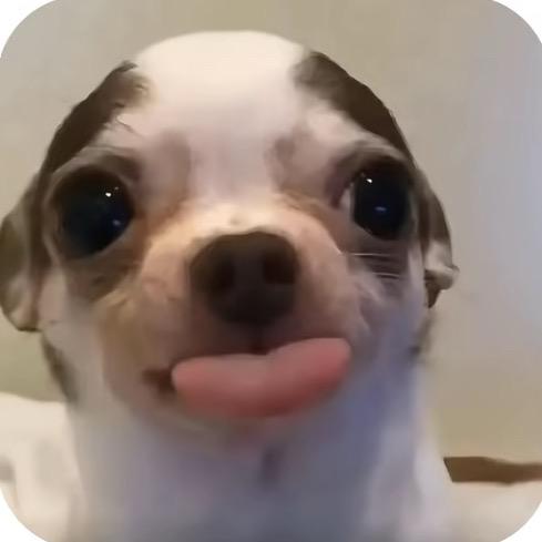 圆形红绿灯