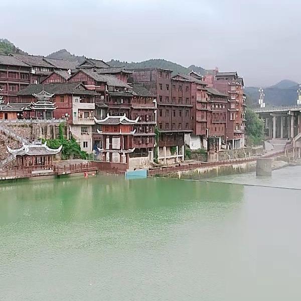 萍萍淡淡