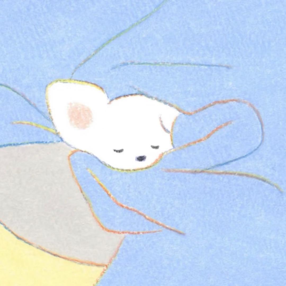🌙ㅤ