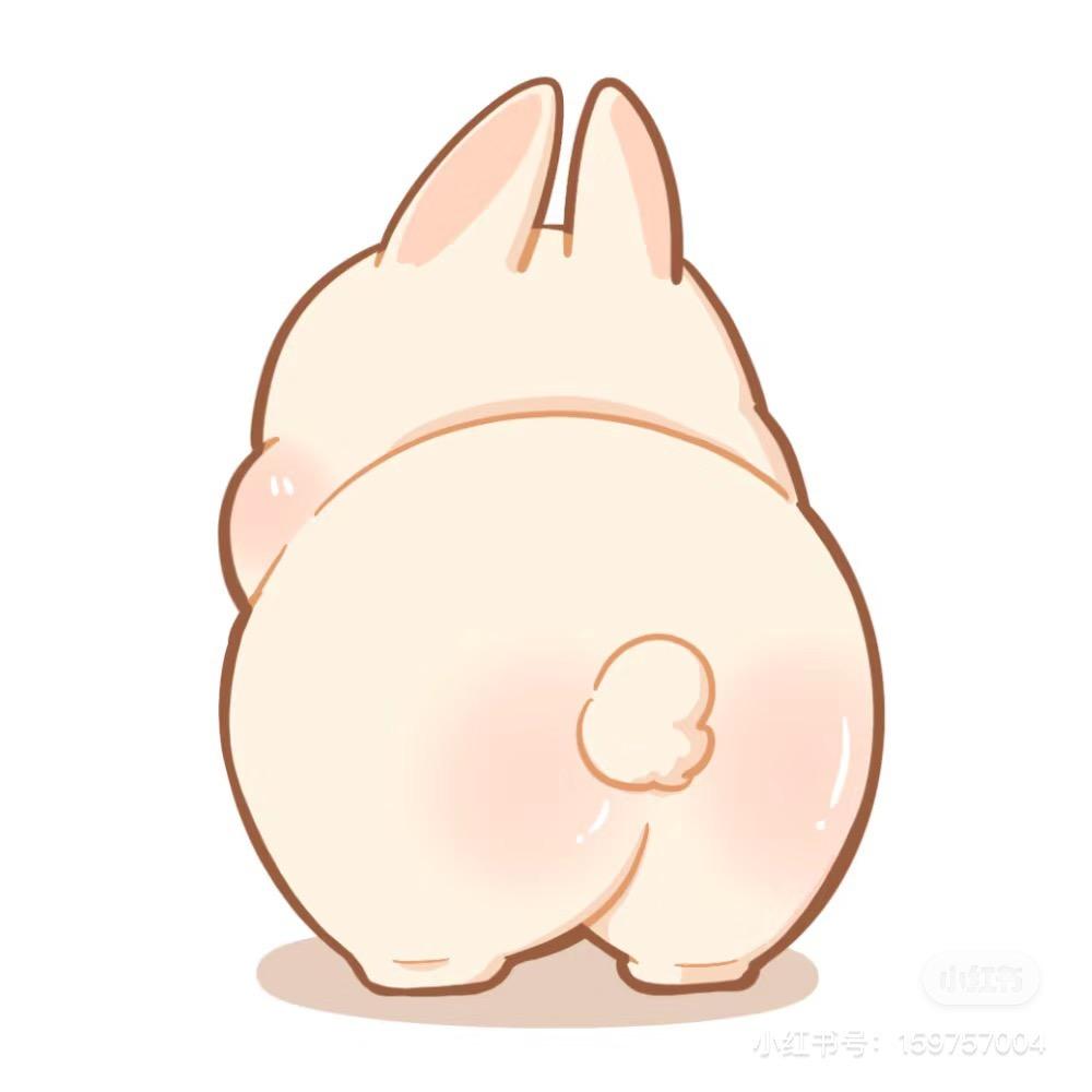 兔兔兔宝🐰
