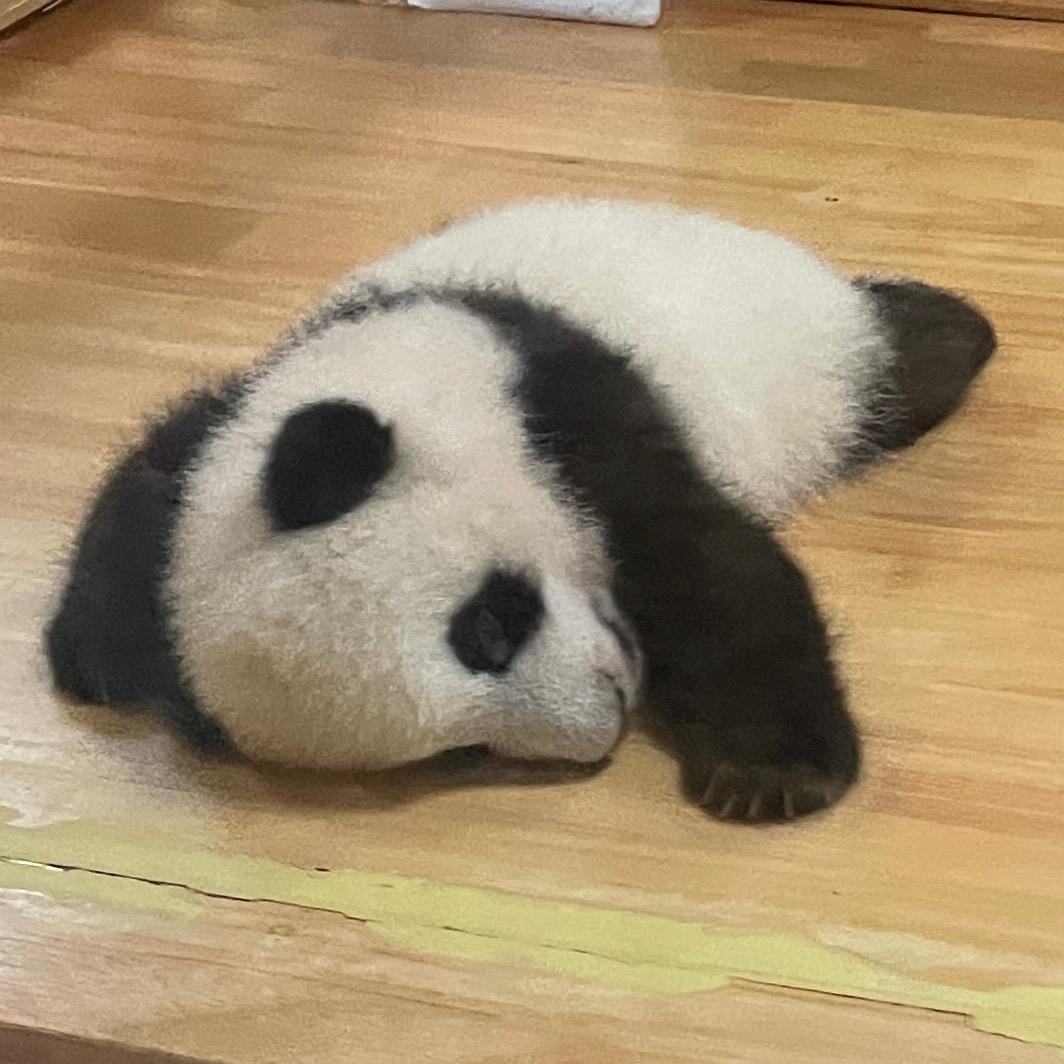 23555