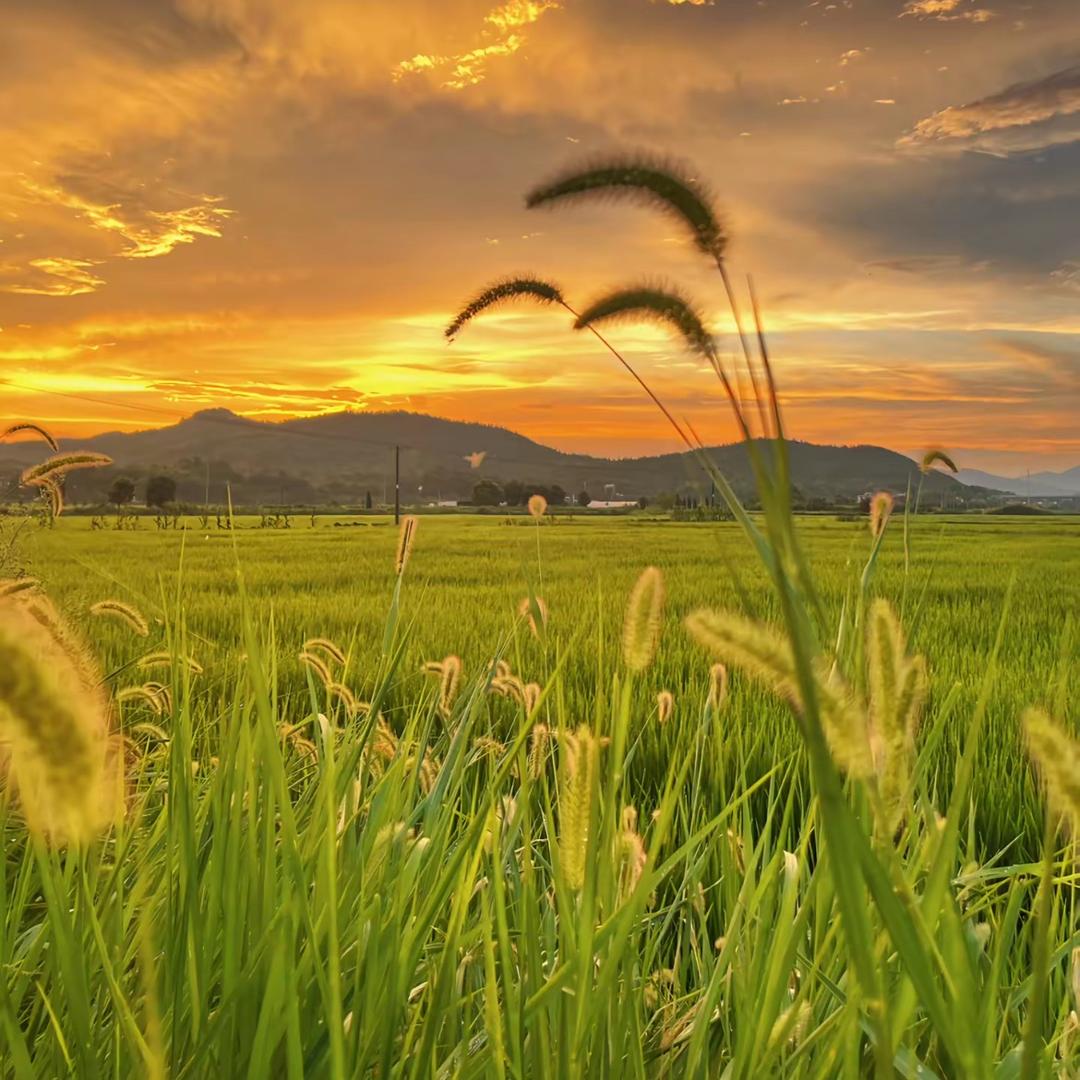 洋洋（男装店）