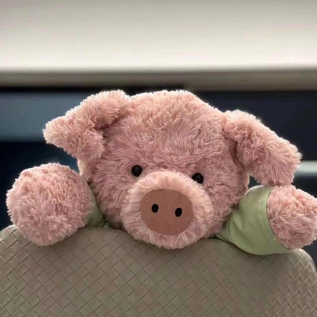 春风知我意。