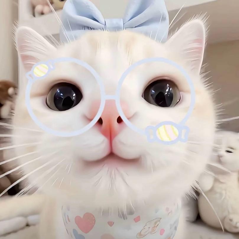 绾绾ᖰ⌯'▾'⌯ᖳ