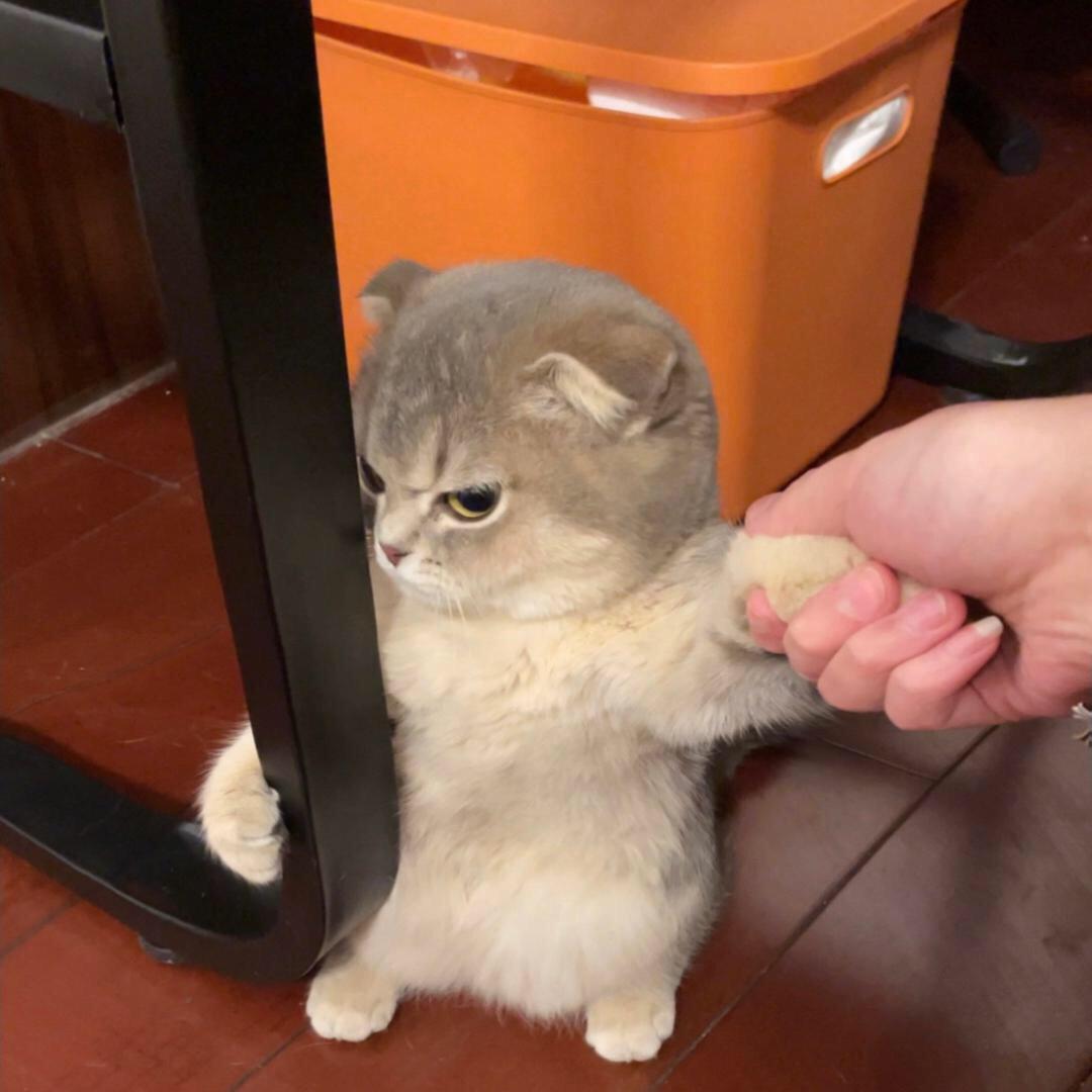 ᴛ̶ɪ̶ᴍ̶ᴇ̶.