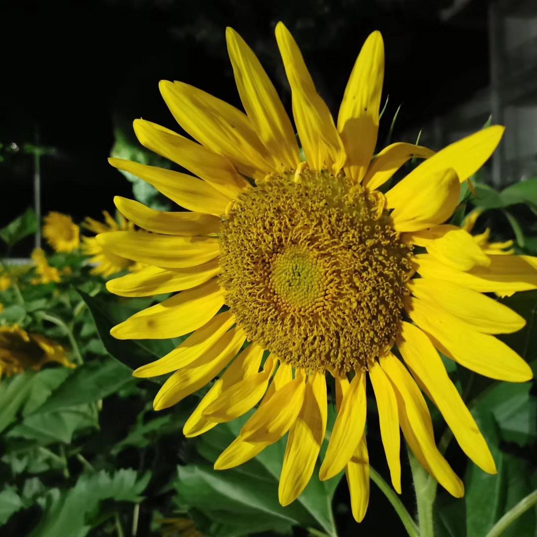 你我她@世纪联华