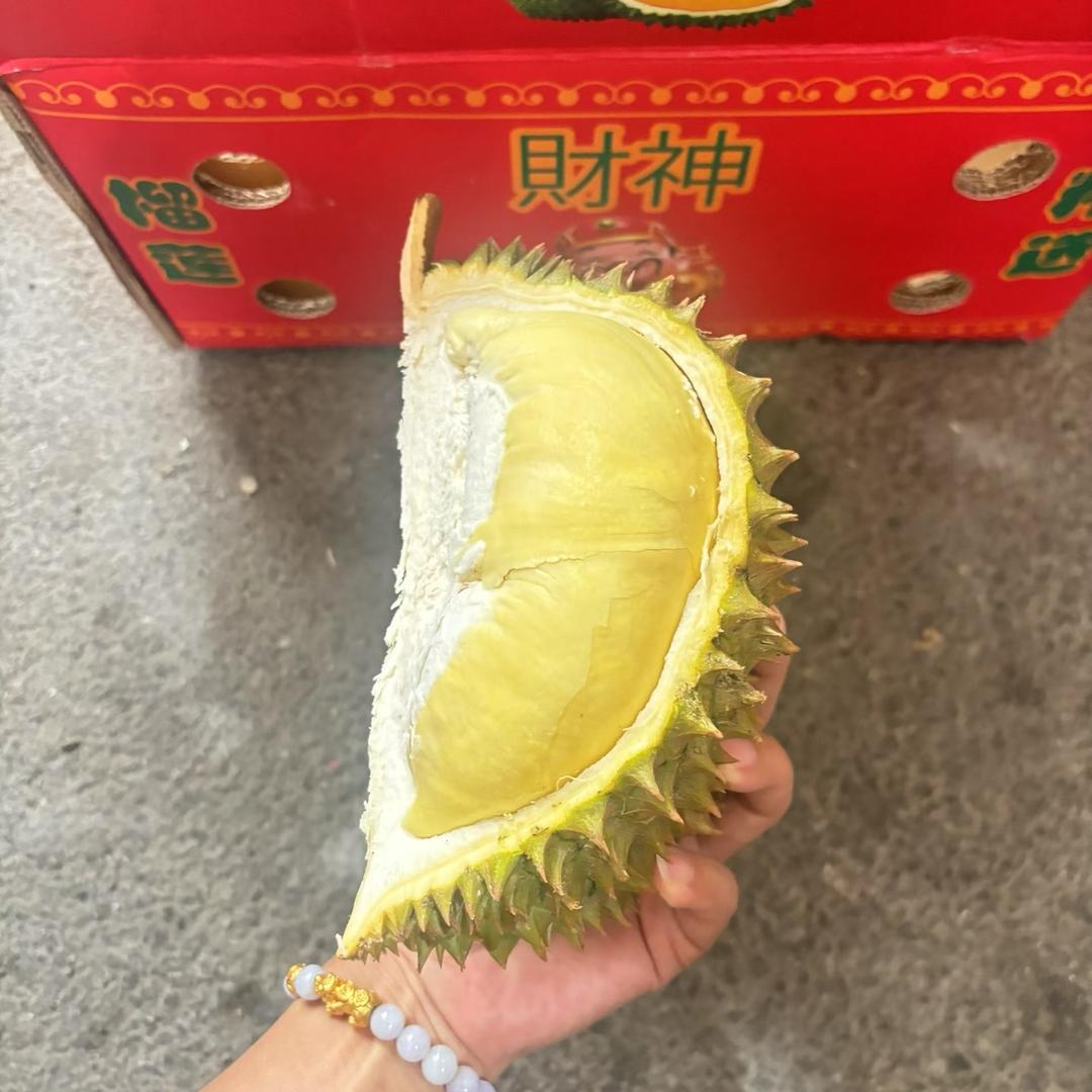 海吉星财神榴莲