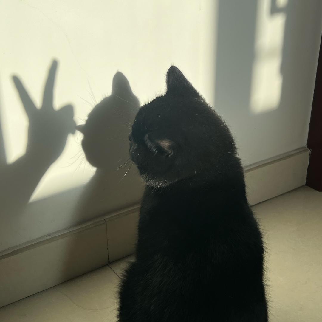 @是你的小张宝贝呀💞