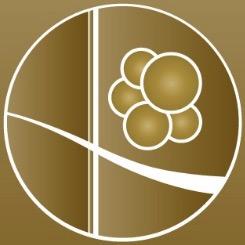 马陆十五葡萄农庄