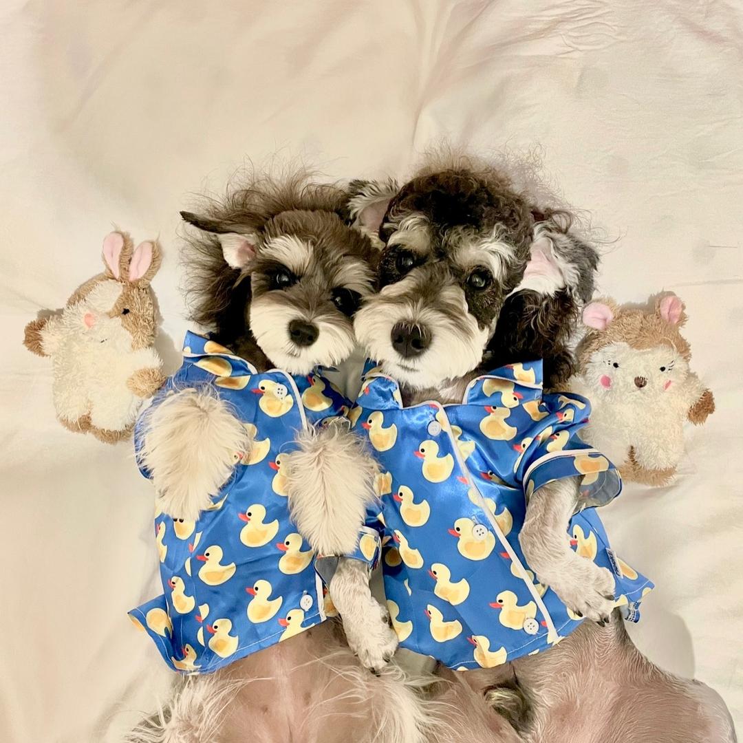 🌸一朵小花@抖音