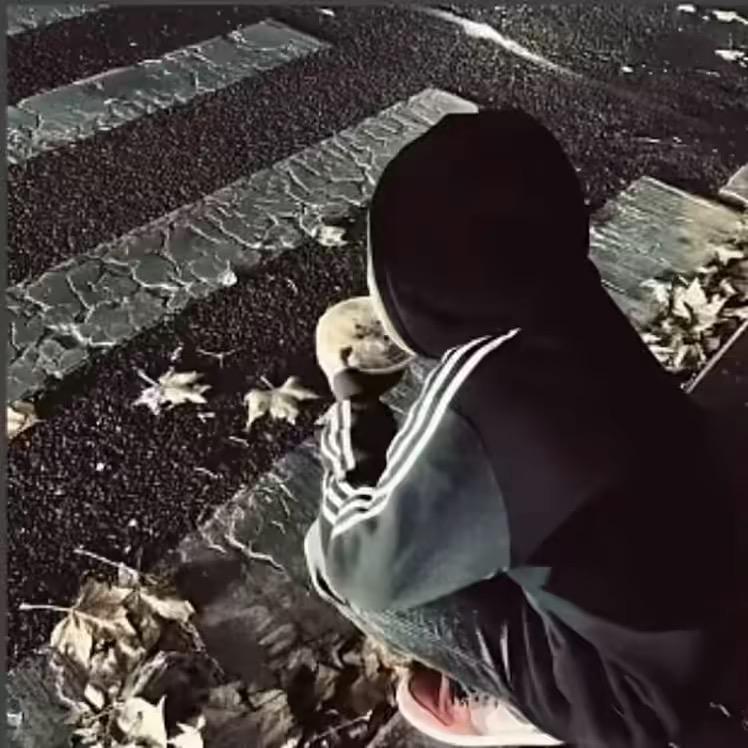 往事清零
