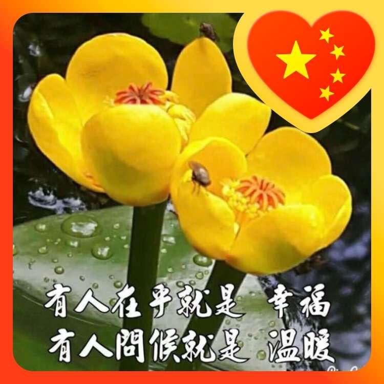 雅萍