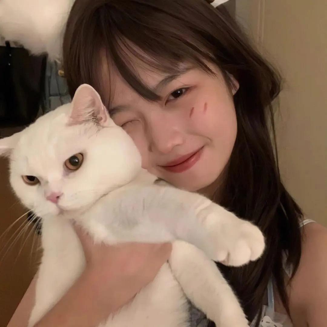 小七同学