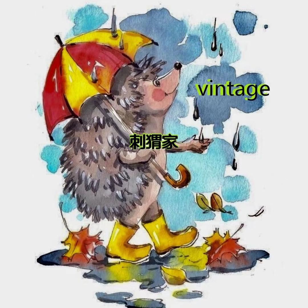 刺猬古着vintage