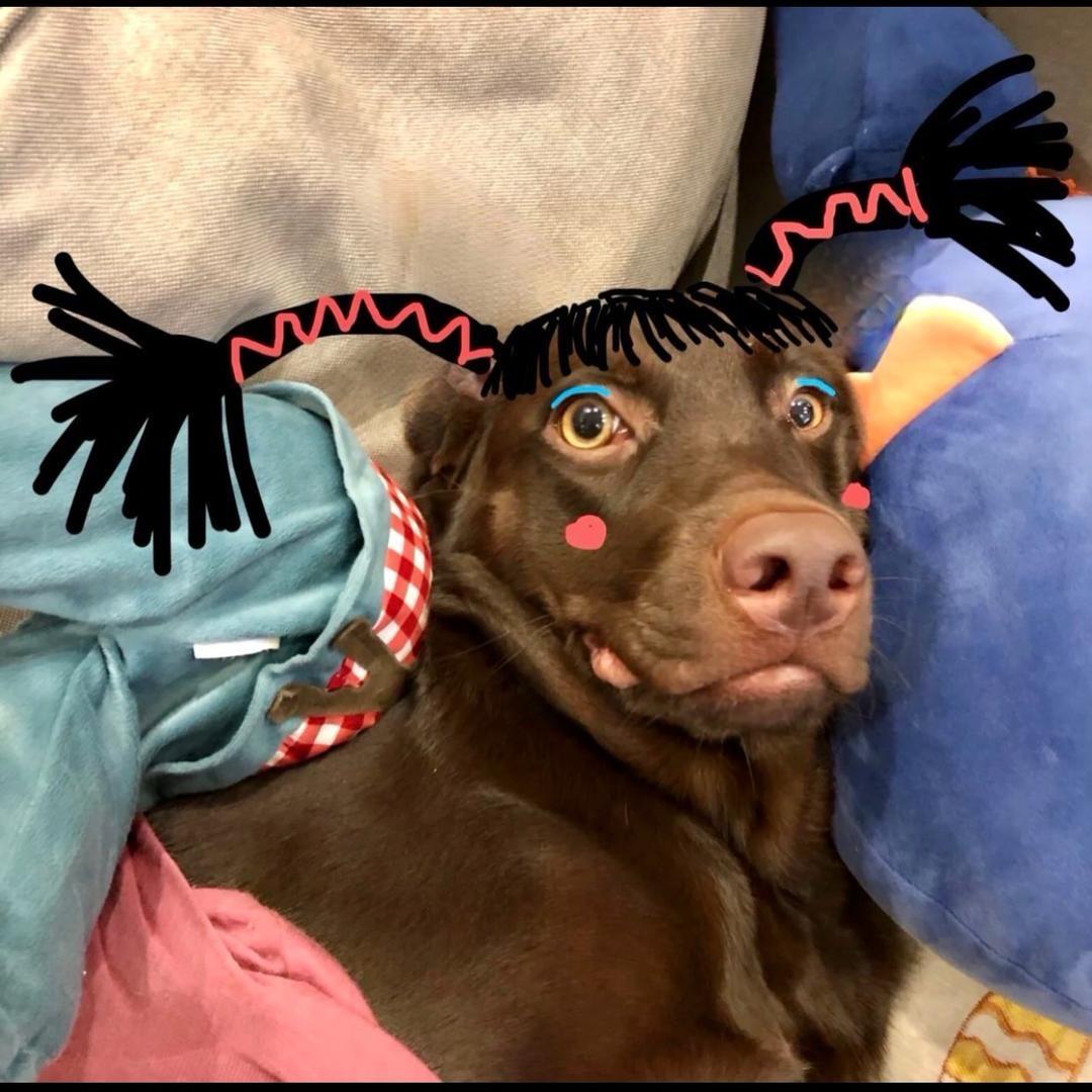 王王王.