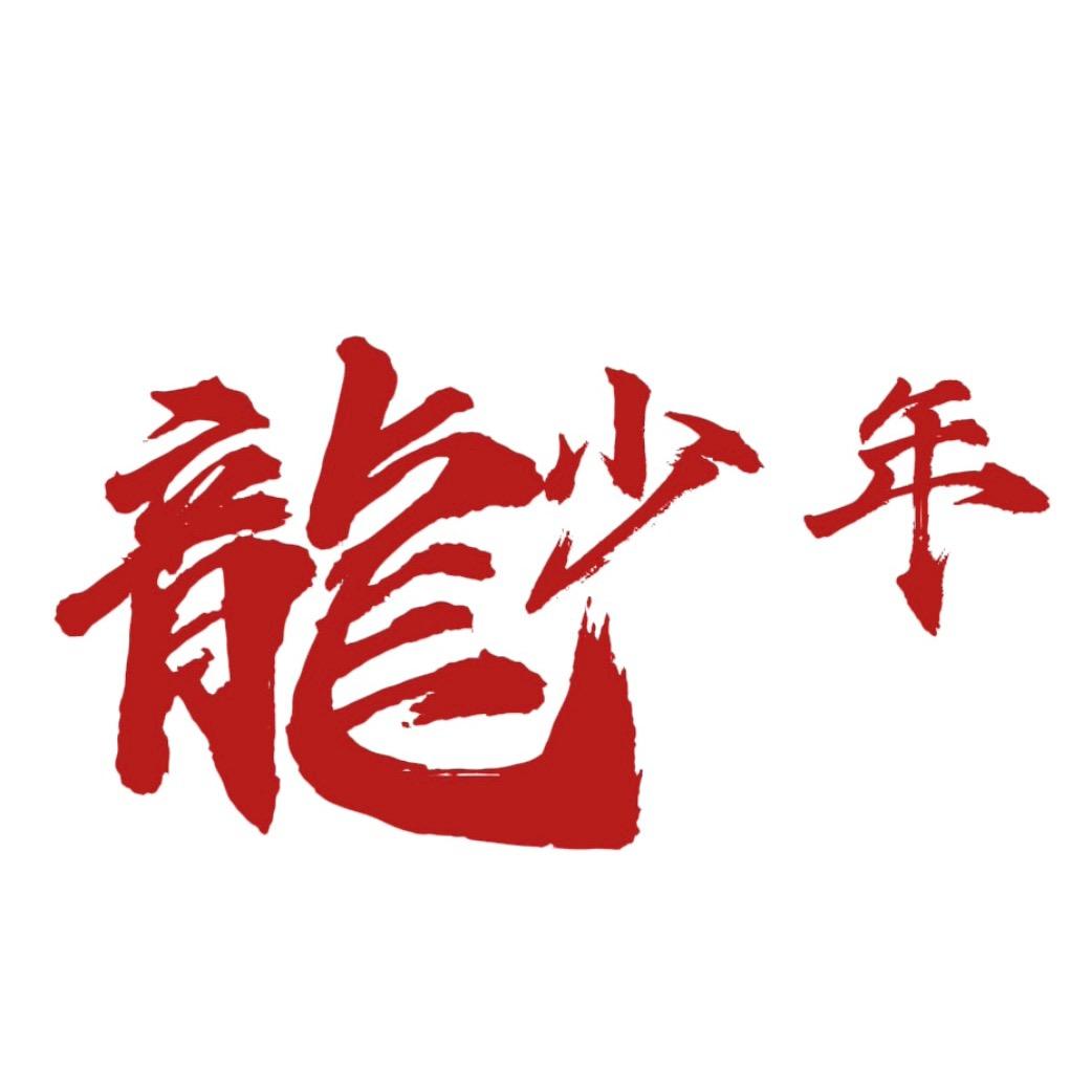 龍少年