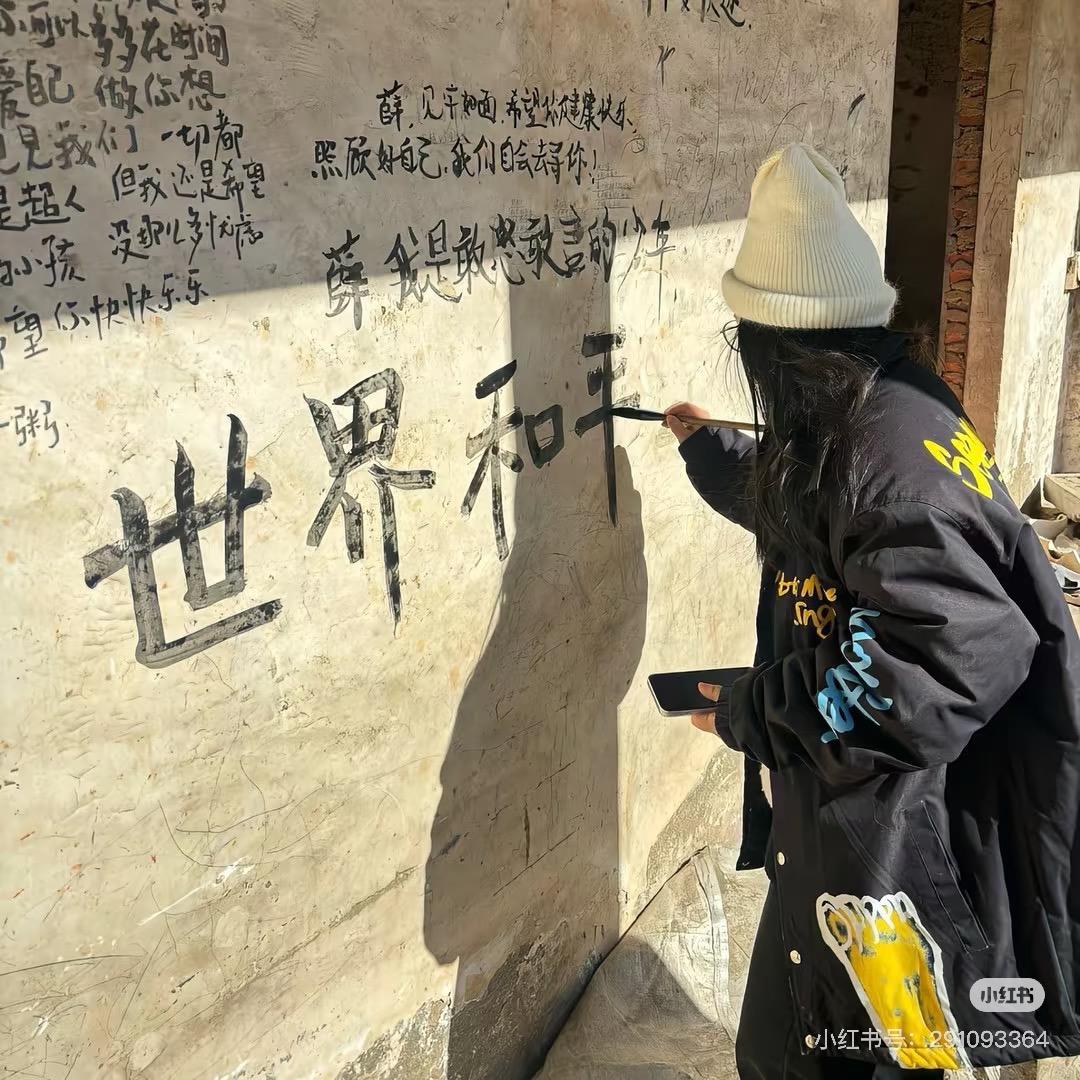 无规矩不成方袁女士