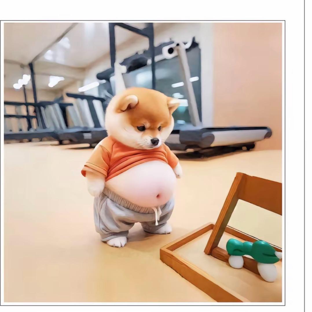 渣渣👨🏻‍🦱 很哇塞🥰