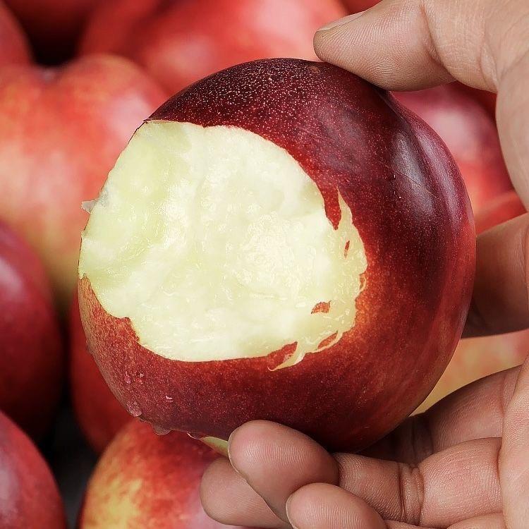 禾晔水果高端精选